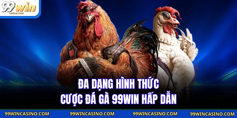 Đa dạng hình thức cược đá gà 99WIN hấp dẫn